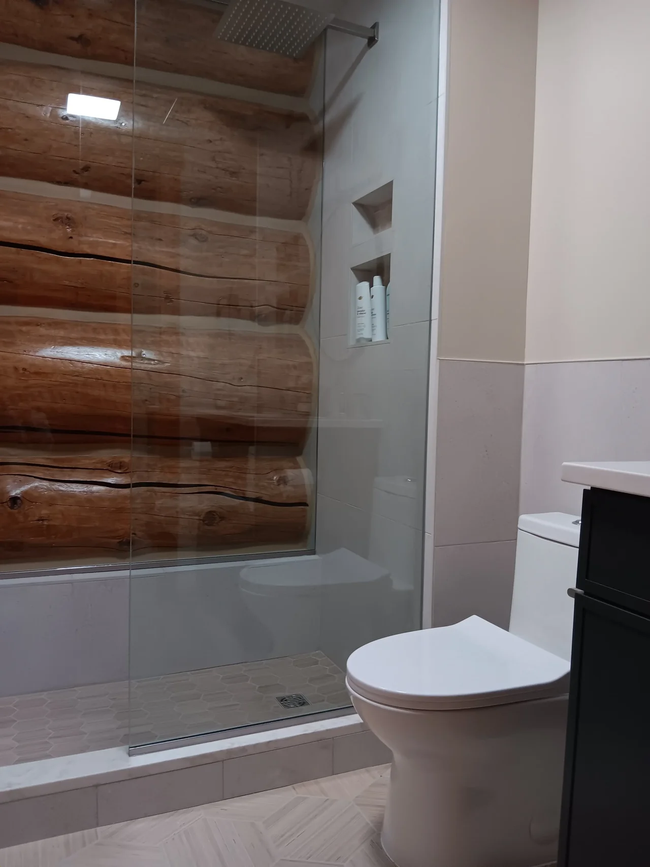 Remodels and Renovations
